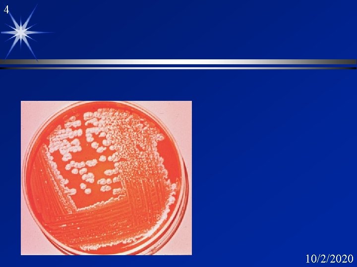 4 10/2/2020 