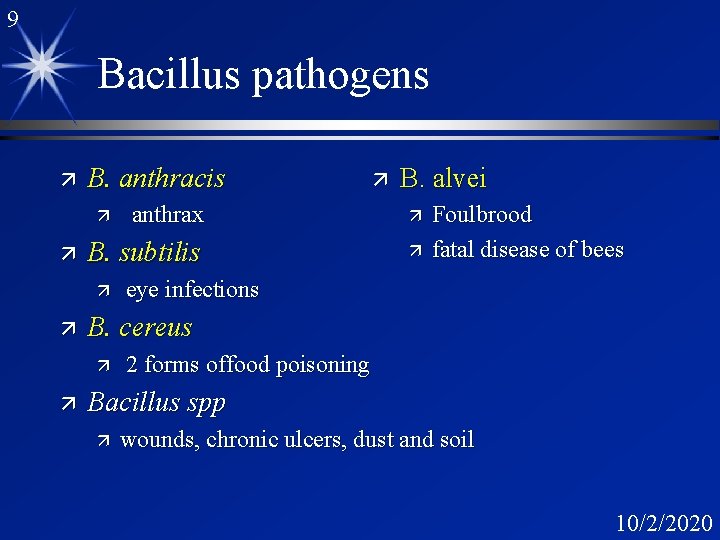 9 Bacillus pathogens ä B. anthracis ä B. subtilis ä ä ä Foulbrood fatal