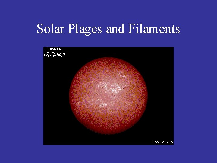 Solar Plages and Filaments 