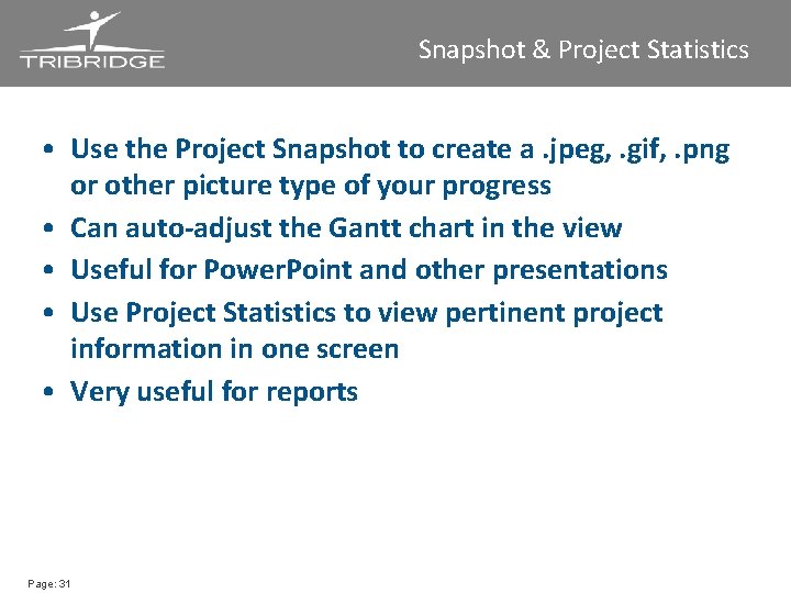 Snapshot & Project Statistics • Use the Project Snapshot to create a. jpeg, .