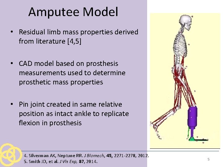Amputee Model • Residual limb mass properties derived from literature [4, 5] • CAD