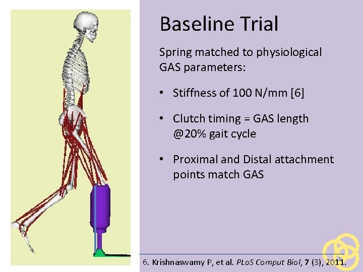 Baseline Trial Spring matched to physiological GAS parameters: • Stiffness of 100 N/mm [6]