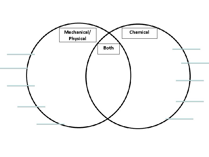 Mechanical/ Physical Chemical Both 