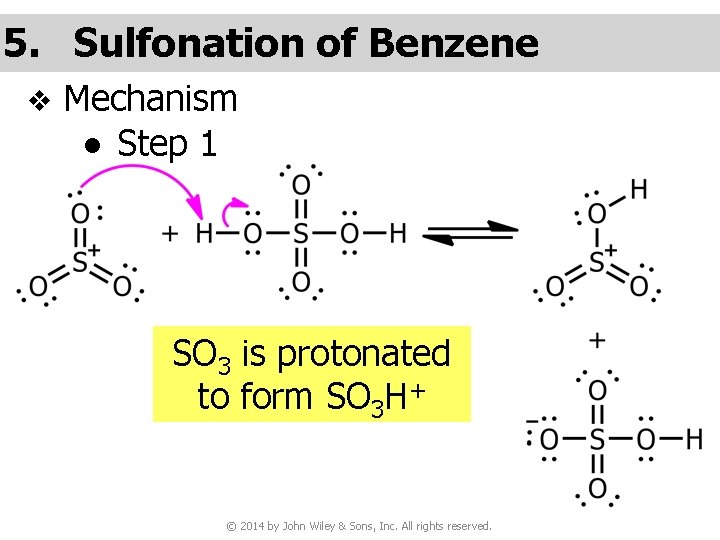 5. Sulfonation of Benzene v Mechanism ● Step 1 SO 3 is protonated to