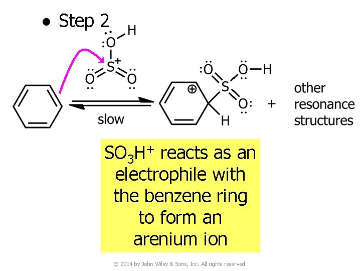 ● Step 2 SO 3 H+ reacts as an electrophile with the benzene ring
