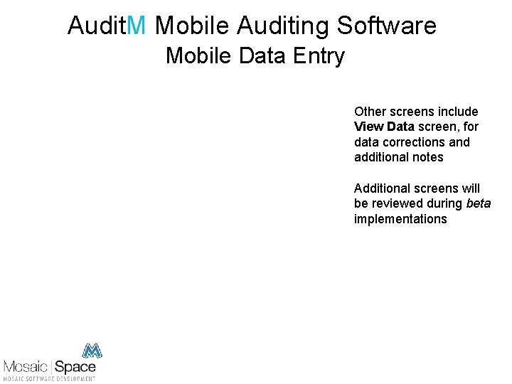 Audit. M Mobile Auditing Software Mobile Data Entry Other screens include View Data screen,