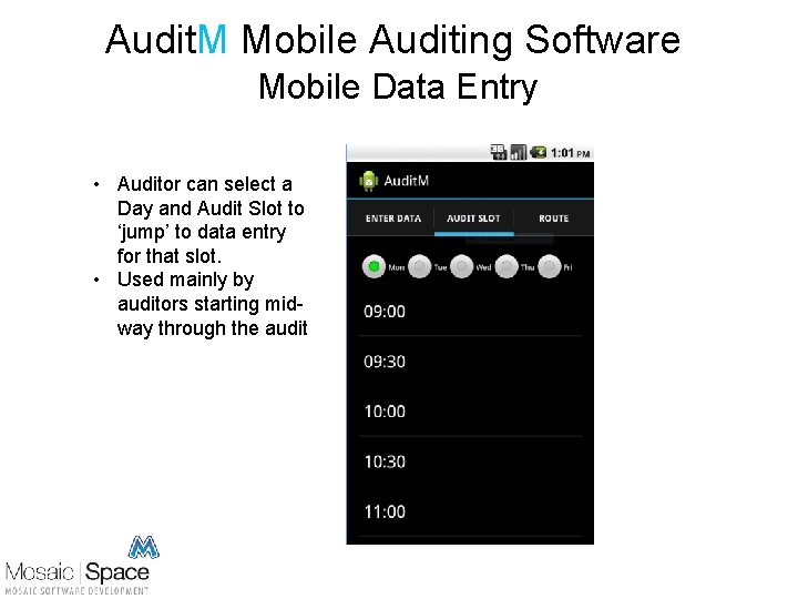 Audit. M Mobile Auditing Software Mobile Data Entry • Auditor can select a Day