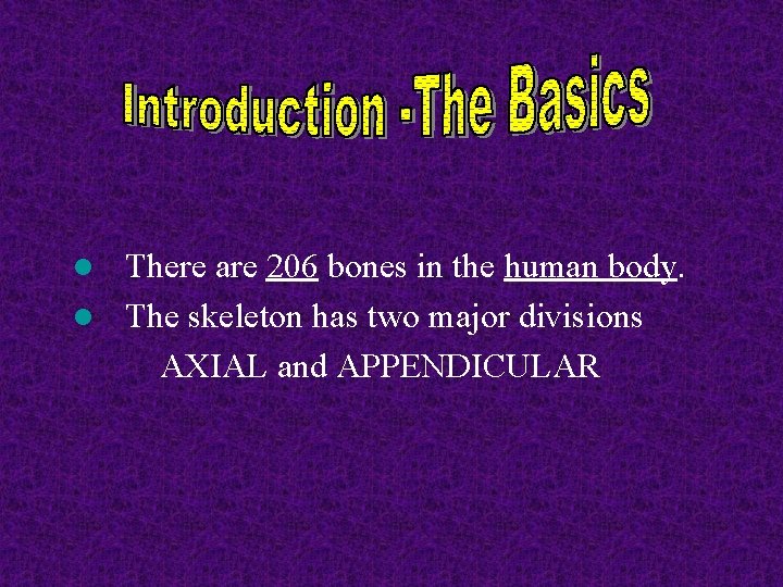 There are 206 bones in the human body. l The skeleton has two major There are 206 bones in the human body. l The skeleton has two major