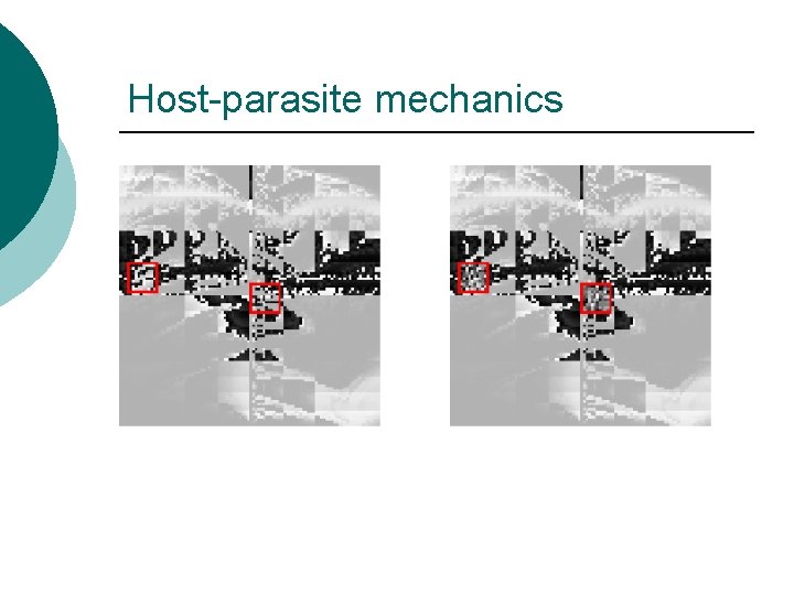 Host-parasite mechanics 