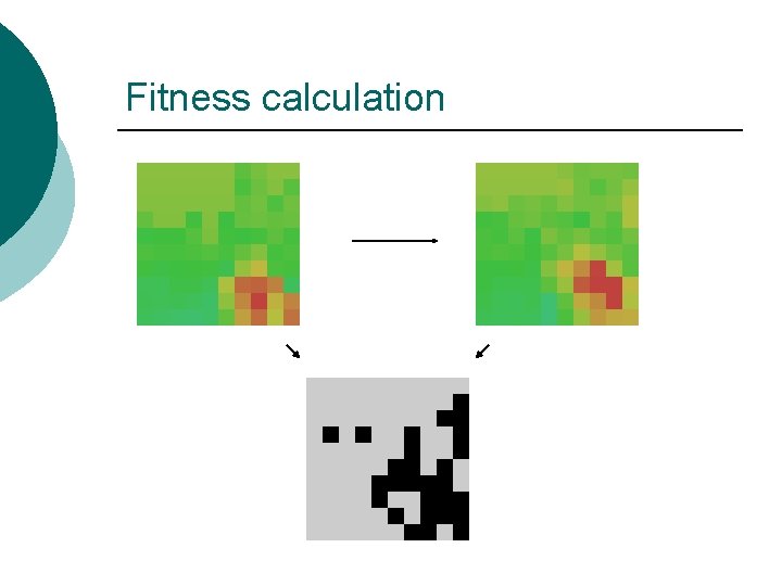 Fitness calculation 