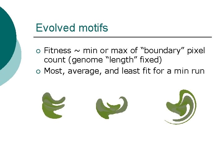 Evolved motifs ¡ ¡ Fitness ~ min or max of “boundary” pixel count (genome