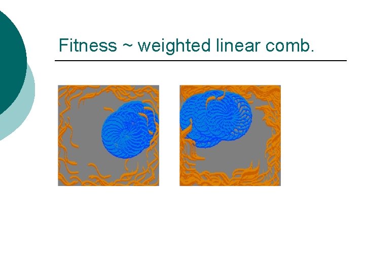 Fitness ~ weighted linear comb. 