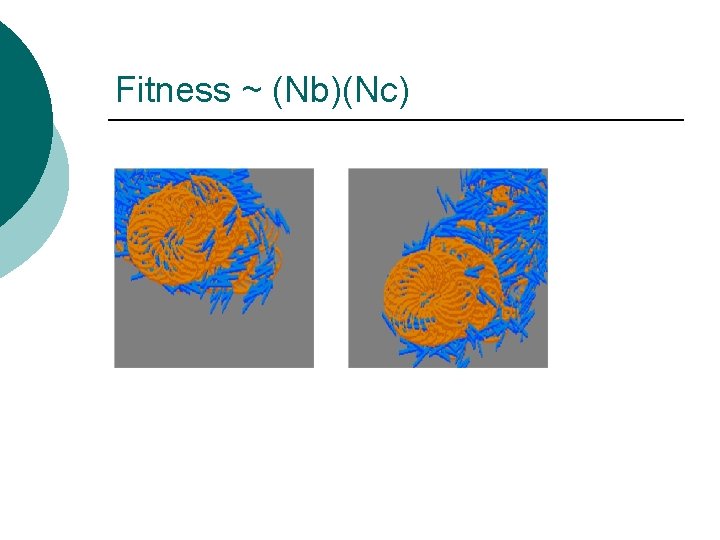 Fitness ~ (Nb)(Nc) 