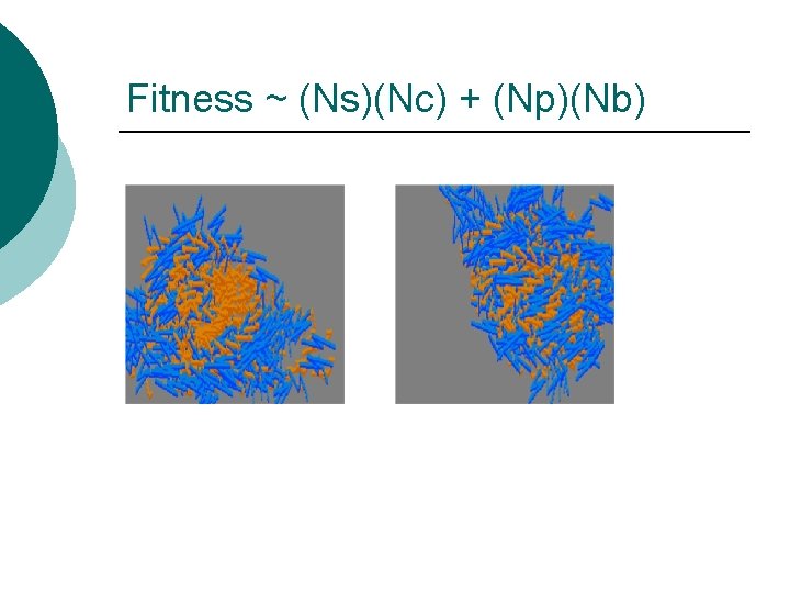 Fitness ~ (Ns)(Nc) + (Np)(Nb) 