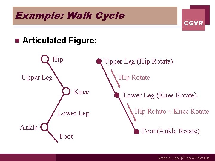 Example: Walk Cycle n CGVR Articulated Figure: Hip Upper Leg (Hip Rotate) Upper Leg