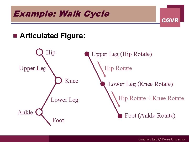 Example: Walk Cycle n CGVR Articulated Figure: Hip Upper Leg (Hip Rotate) Upper Leg Example: Walk Cycle n CGVR Articulated Figure: Hip Upper Leg (Hip Rotate) Upper Leg
