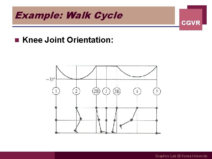 Example: Walk Cycle n CGVR Knee Joint Orientation: Graphics Lab @ Korea University Example: Walk Cycle n CGVR Knee Joint Orientation: Graphics Lab @ Korea University