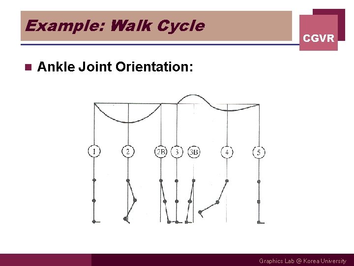 Example: Walk Cycle n CGVR Ankle Joint Orientation: Graphics Lab @ Korea University 