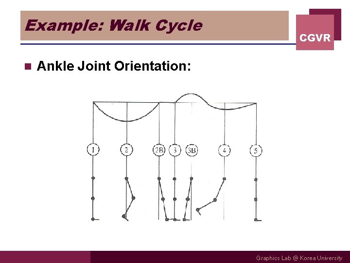 Example: Walk Cycle n CGVR Ankle Joint Orientation: Graphics Lab @ Korea University Example: Walk Cycle n CGVR Ankle Joint Orientation: Graphics Lab @ Korea University