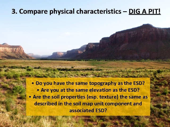 3. Compare physical characteristics – DIG A PIT! • Do you have the same