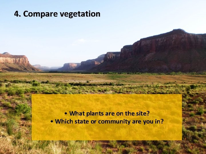 4. Compare vegetation • What plants are on the site? • Which state or