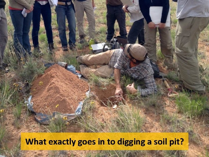 What exactly goes in to digging a soil pit? 