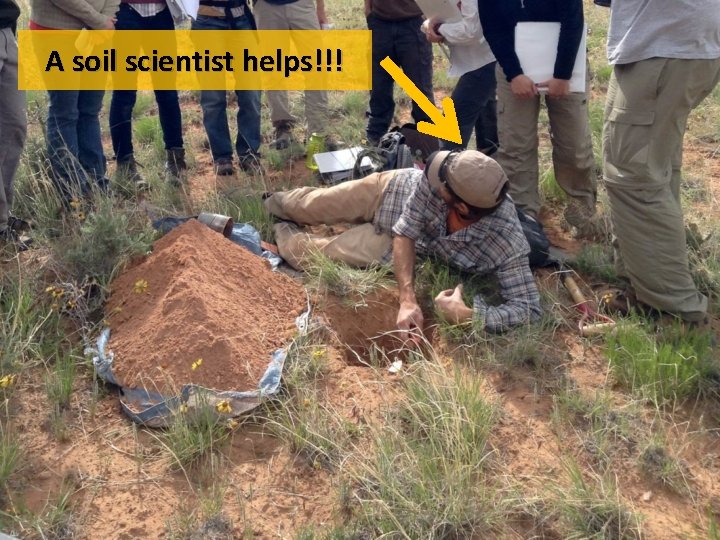 A soil scientist helps!!! 