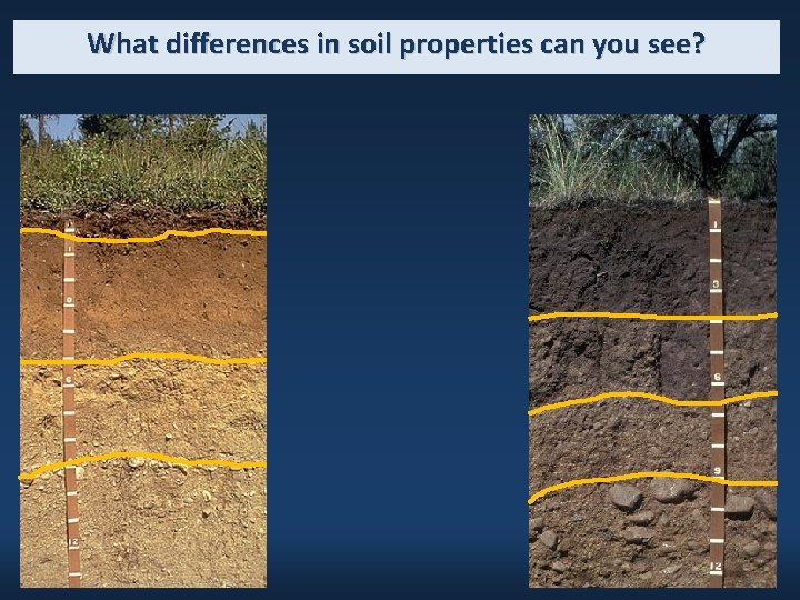 What differences in soil properties can you see? 