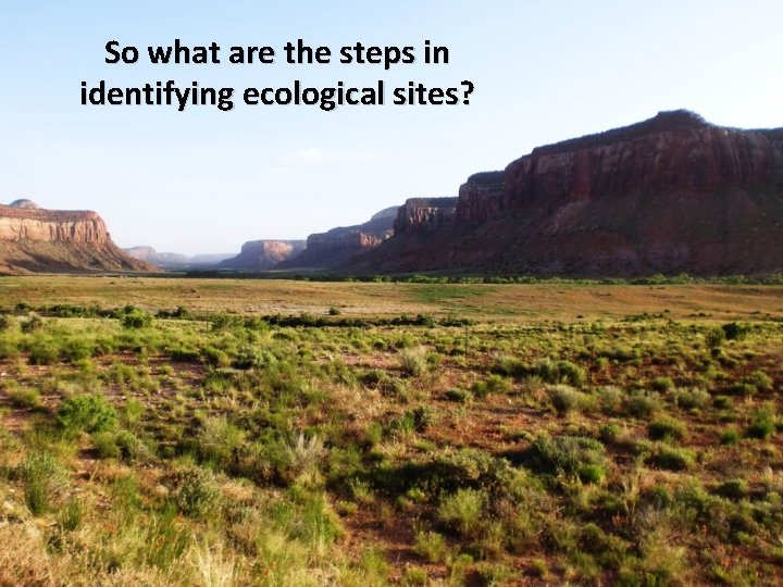 So what are the steps in identifying ecological sites? 
