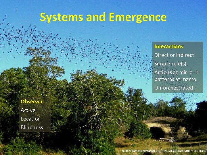 Systems and Emergence Interactions Direct or indirect Simple rule(s) Actions at micro patterns at