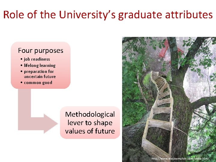 Role of the University’s graduate attributes Four purposes • job readiness • lifelong learning