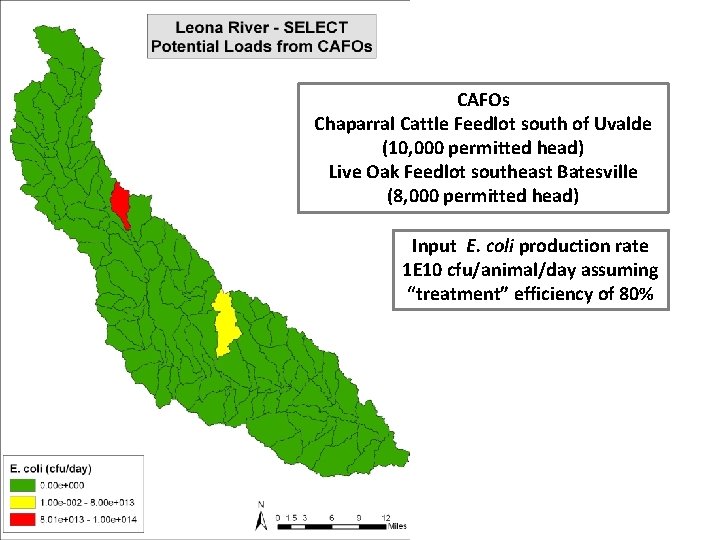 CAFOs Chaparral Cattle Feedlot south of Uvalde (10, 000 permitted head) Live Oak Feedlot