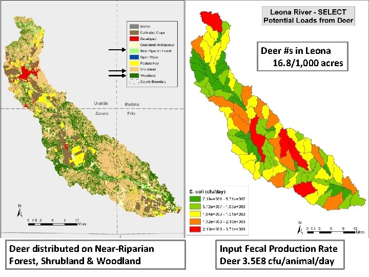 Deer #s in Leona 16. 8/1, 000 acres Deer distributed on Near-Riparian Forest, Shrubland