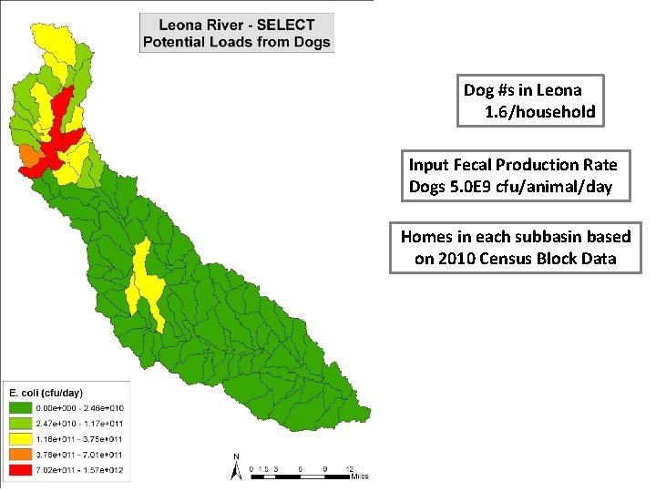 Dog #s in Leona 1. 6/household Input Fecal Production Rate Dogs 5. 0 E