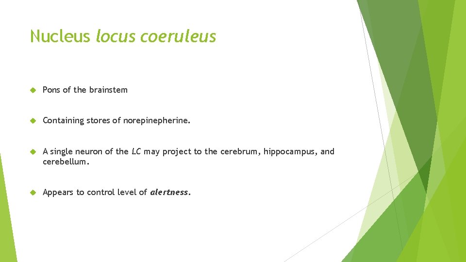 Nucleus locus coeruleus Pons of the brainstem Containing stores of norepinepherine. A single neuron