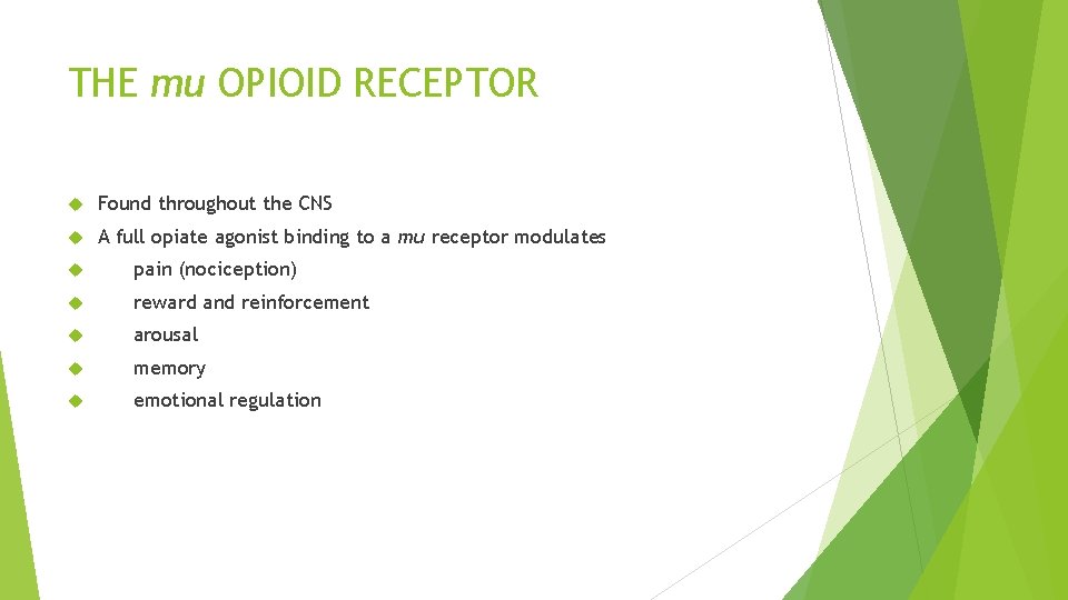THE mu OPIOID RECEPTOR Found throughout the CNS A full opiate agonist binding to