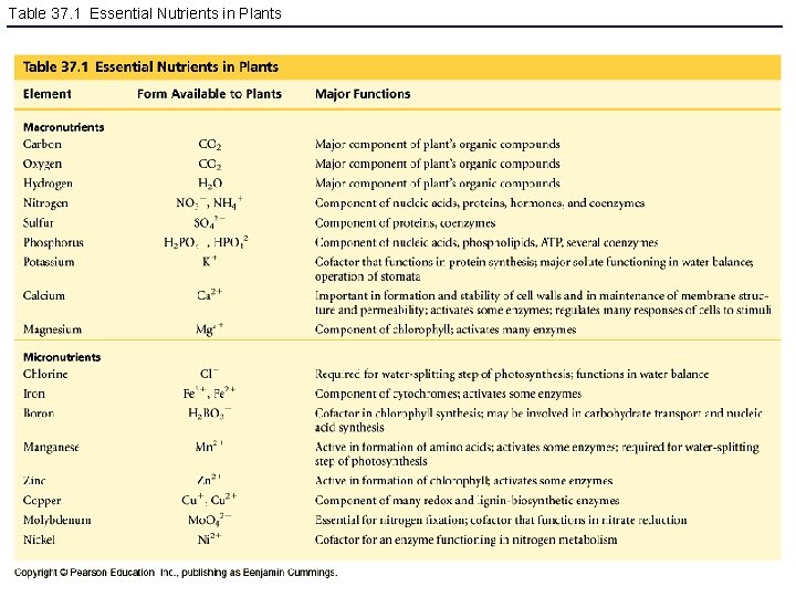 Table 37. 1 Essential Nutrients in Plants 