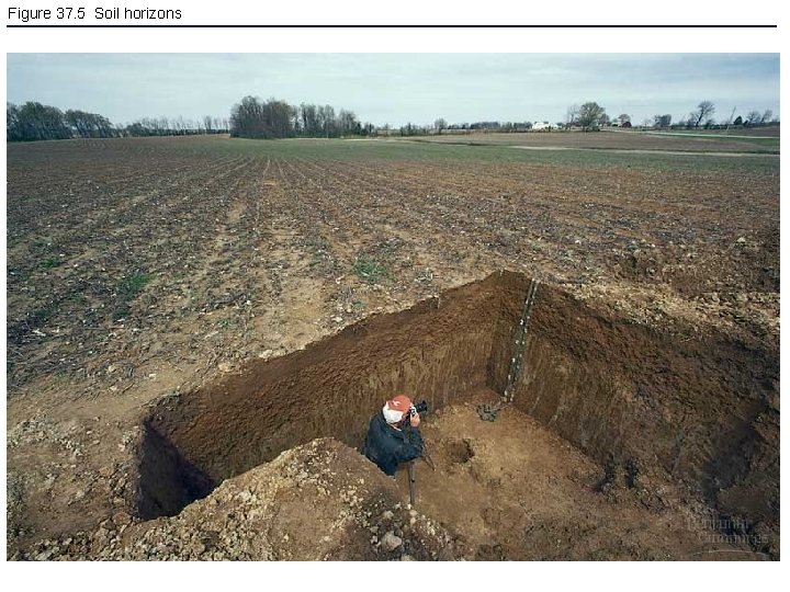 Figure 37. 5 Soil horizons 