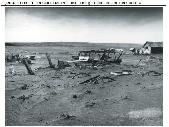 Figure 37. 7 Poor soil conservation has contributed to ecological disasters such as the