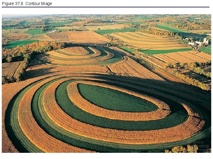 Figure 37. 8 Contour tillage 