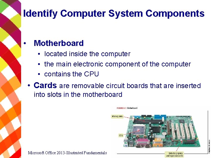 Identify Computer System Components • Motherboard • located inside the computer • the main