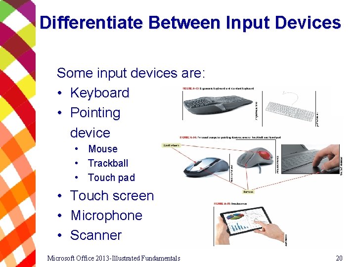 Differentiate Between Input Devices Some input devices are: • Keyboard • Pointing device •