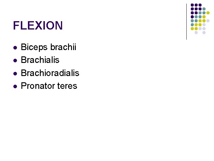 FLEXION l l Biceps brachii Brachialis Brachioradialis Pronator teres 