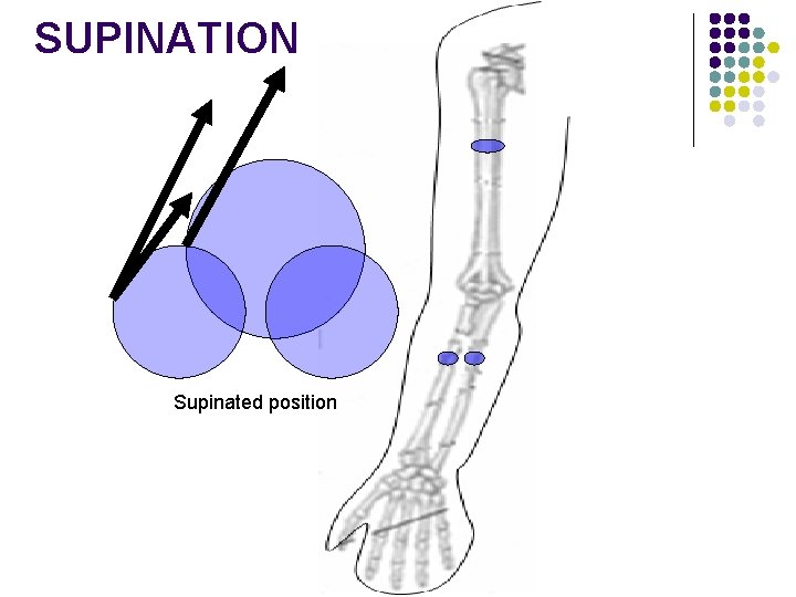 SUPINATION Supinated position 