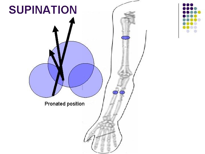 SUPINATION Pronated position 