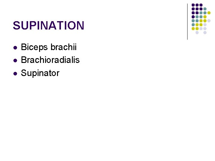 SUPINATION l l l Biceps brachii Brachioradialis Supinator 