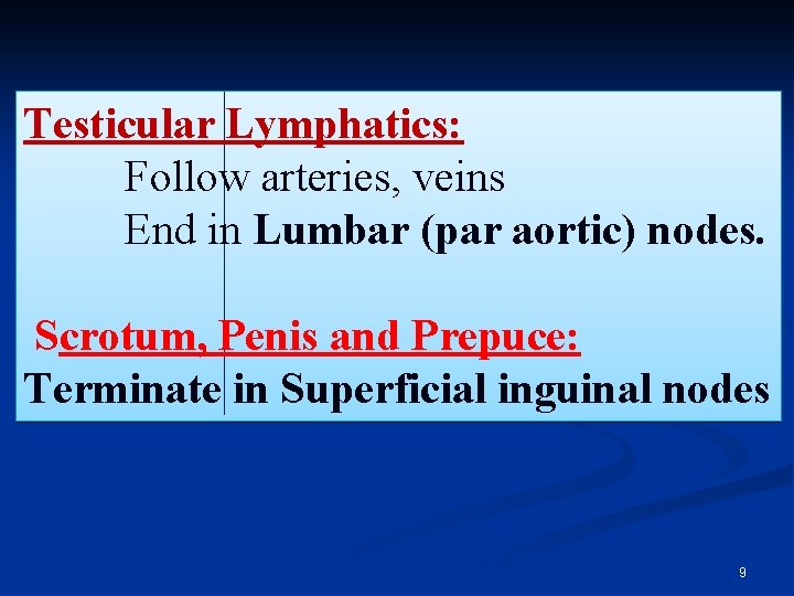 Testicular Lymphatics: Follow arteries, veins End in Lumbar (par aortic) nodes. Scrotum, Penis and