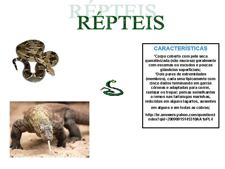 CARACTERÍSTICAS *Corpo coberto com pele seca queratinizada (não mucosa) geralmente com escamas ou escudos