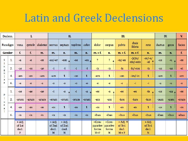 Latin and Greek Declensions Latin and Greek Declensions