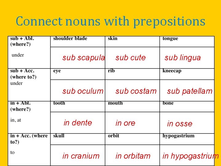 Connect nouns with prepositions sub scapula sub cute sub lingua sub oculum sub costam Connect nouns with prepositions sub scapula sub cute sub lingua sub oculum sub costam